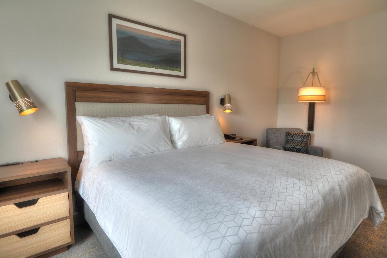 Holiday Inn & Suites Pigeon Forge Convention Center, An Ihg Hotel Bagian luar foto